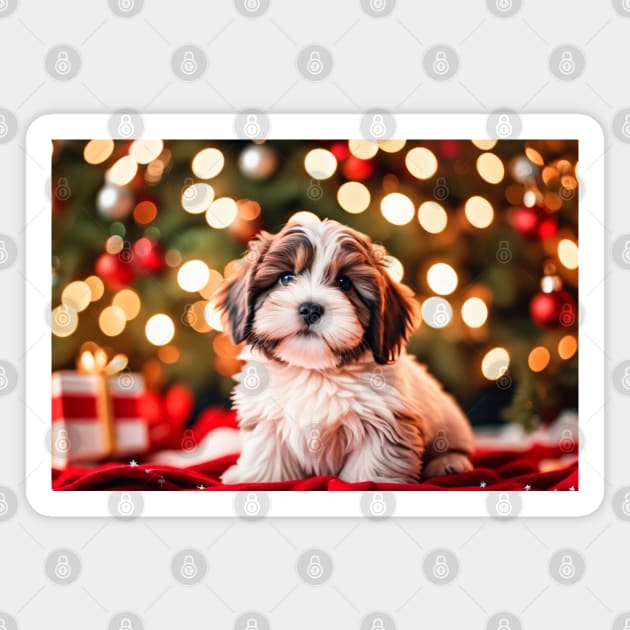 Cute Havanese Puppy Dog by Christmas Tree Magnet by nicecorgi